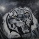 Tigre noir et blanc  80cm /80cm