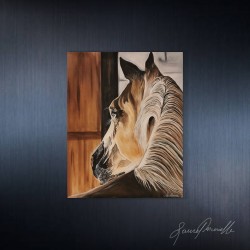 Cheval "tendresse"